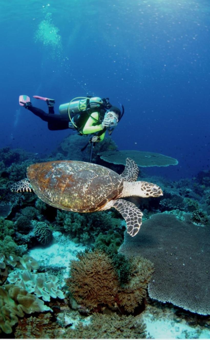 Nirvana Bamboo Houses & Dive Resort Моалбоал Екстериор снимка