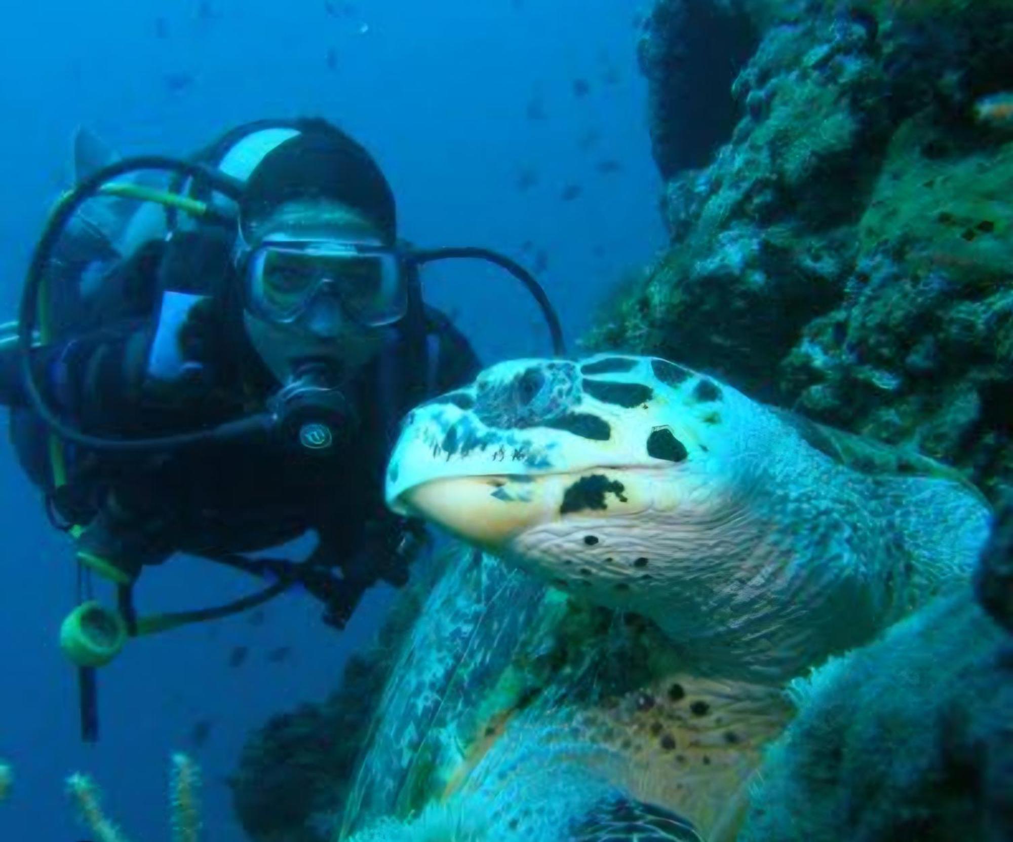 Nirvana Bamboo Houses & Dive Resort Моалбоал Екстериор снимка